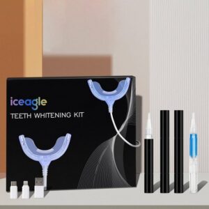 iceagle Schallzahnbürste Elektrische Ultraschall Zahnbürste, 360 Automatische Zahnbürste